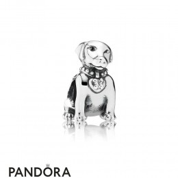 Pandora Animals Pets Charms Labrador Charm Clear Cz Jewelry