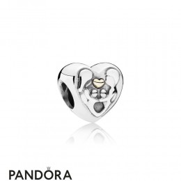 Pandora Family Charms Heart Of The Family Jewelry