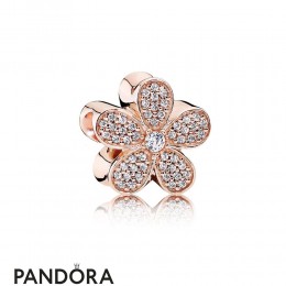 Pandora Sparkling Paves Charms Dazzling Daisy Charm Pandora Rose Clear Cz Jewelry