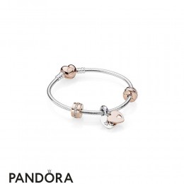 Women's Pandora In My Heart Bracelet Gift Set Pandora Rose And Multi Colored Crystals Jewelry