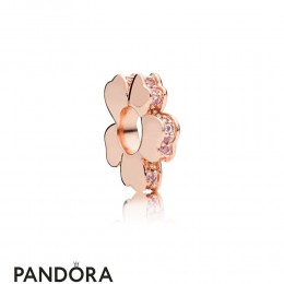 Jewelry Pandora Rose Wildflower Meadow Spacer Charm Jewelry