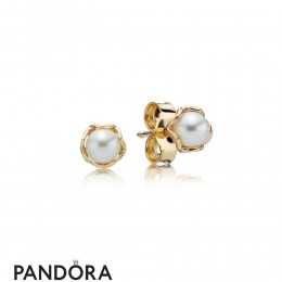 Pandora Earrings Cultured Elegance Stud Earrings Pearl 14K Gold Jewelry