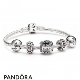 Women's Pandora Birthday Gift Set Jewelry