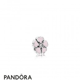 Pandora Lockets Cherry Blossom Petite Charm Jewelry